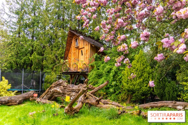 Le Moulin jaune - Hanami 2023