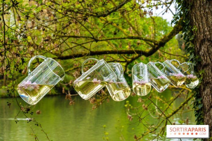 Le Moulin jaune - Hanami 2023 -  A7C2119
