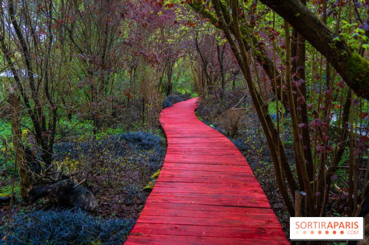 Le Moulin jaune - Hanami 2023 -  A7C1676