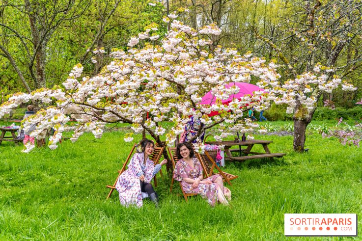 Le Moulin jaune - Hanami 2023