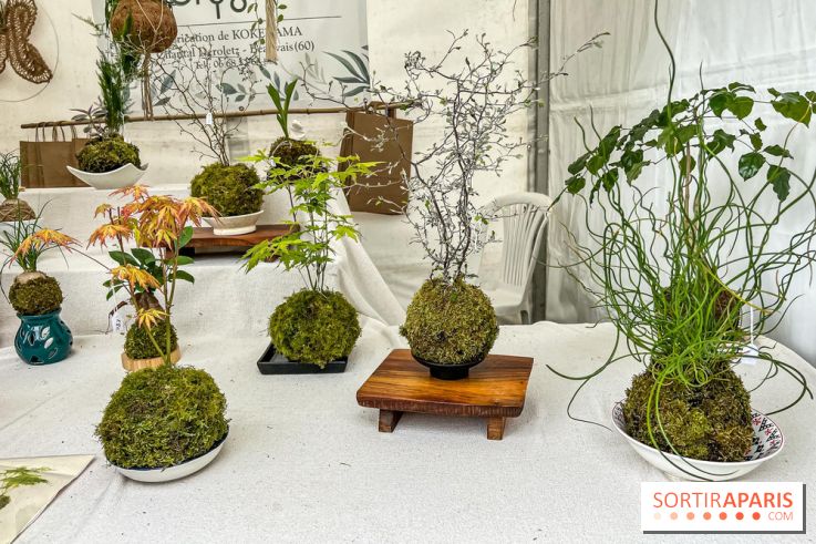 Esprit Jardin à Versailles - Marché aux plantes et animations