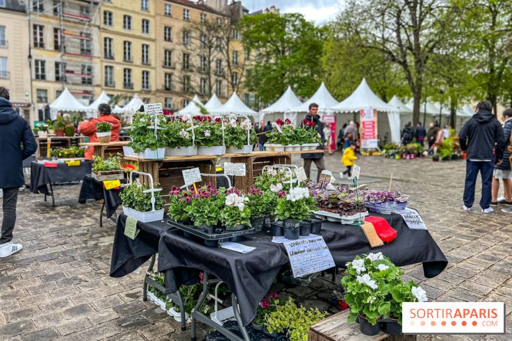 Esprit Jardin à Versailles - Marché aux plantes et animations