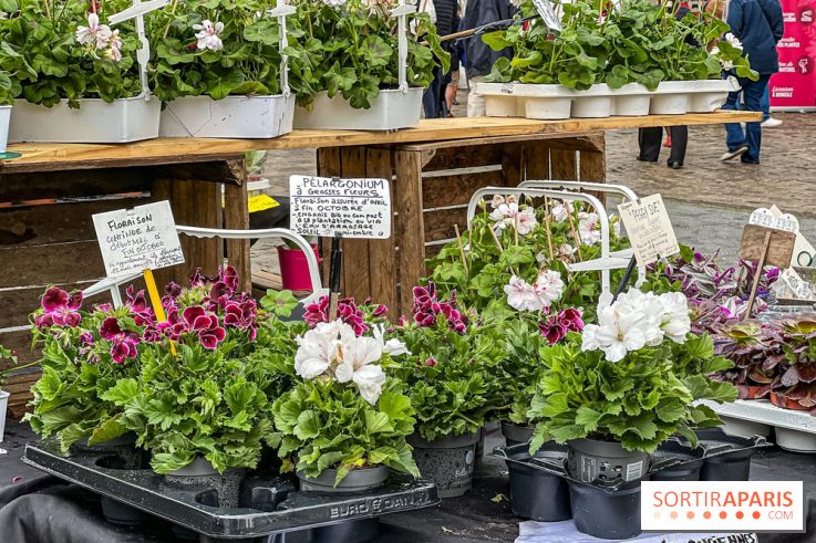 Esprit Jardin à Versailles - Marché aux plantes et animations