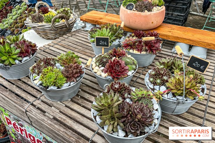 Esprit Jardin à Versailles - Marché aux plantes et animations