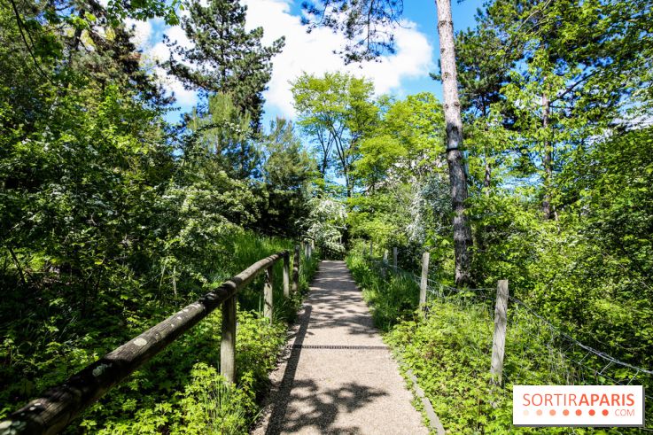 Parc André Malraux à Nanterre, nos photos - IMG 9730