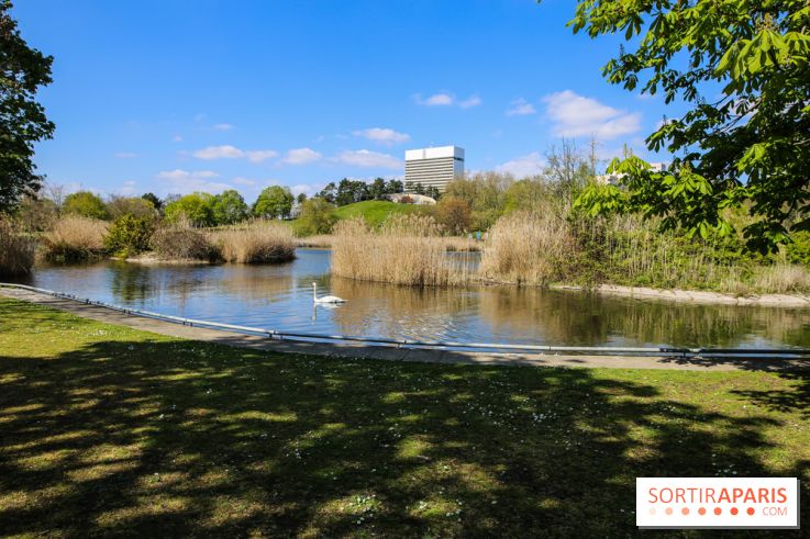 Parc André Malraux à Nanterre, nos photos - IMG 9750