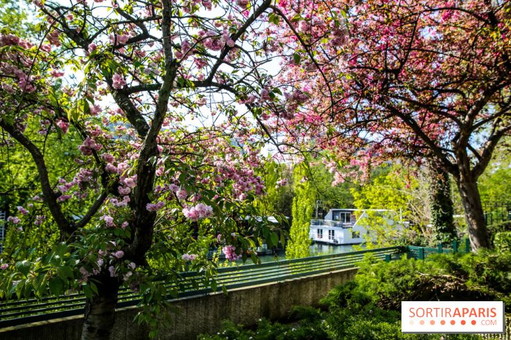 L'île de la Jatte, nos photos - IMG 9662