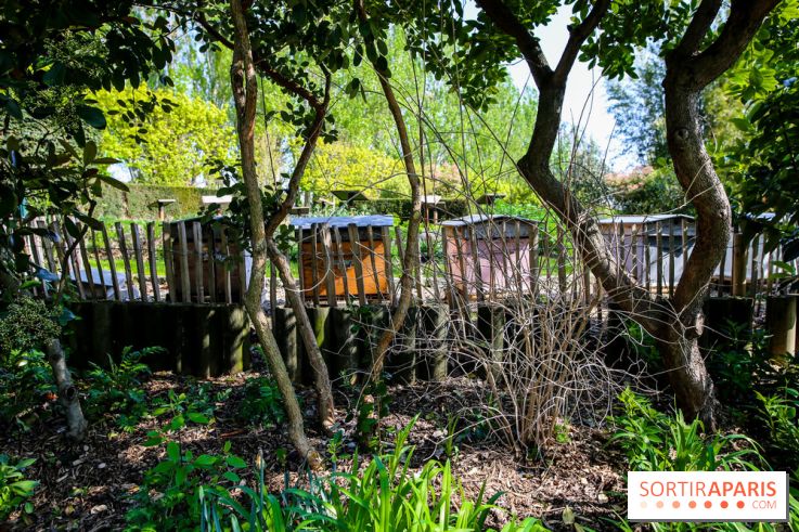 L'île de la Jatte, nos photos - IMG 9711