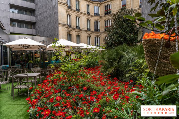 La terrasse cachée du Joy à l'Hôtel Fouquet's 2023 : le jardin de coquelicots -  A7C2758