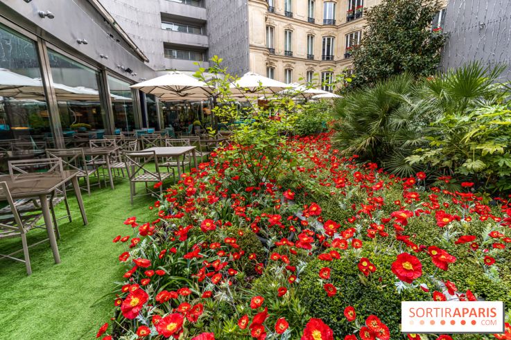 La terrasse cachée du Joy à l'Hôtel Fouquet's 2023 : le jardin de coquelicots -  A7C2754
