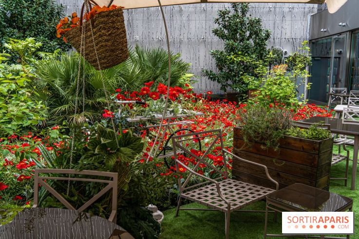 La terrasse cachée du Joy à l'Hôtel Fouquet's 2023 : le jardin de coquelicots -  A7C2732