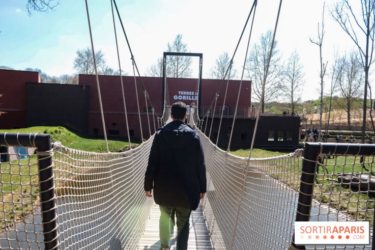 Zoo de Thoiry 2023 - Terre des gorilles