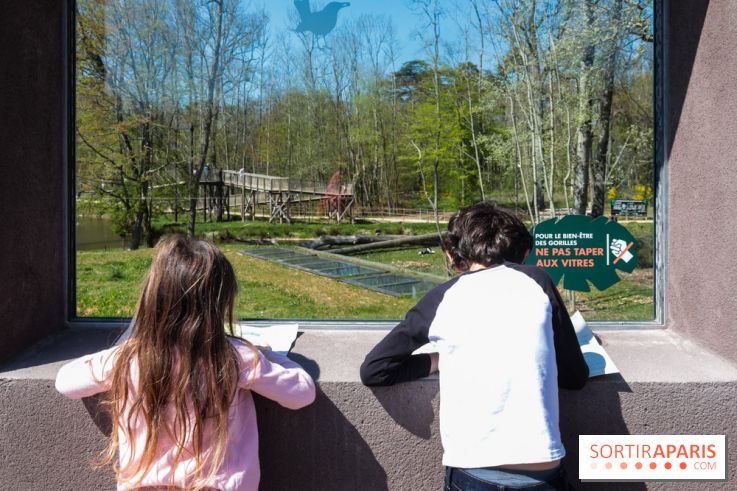 Zoo de Thoiry 2023 - visuel enfant