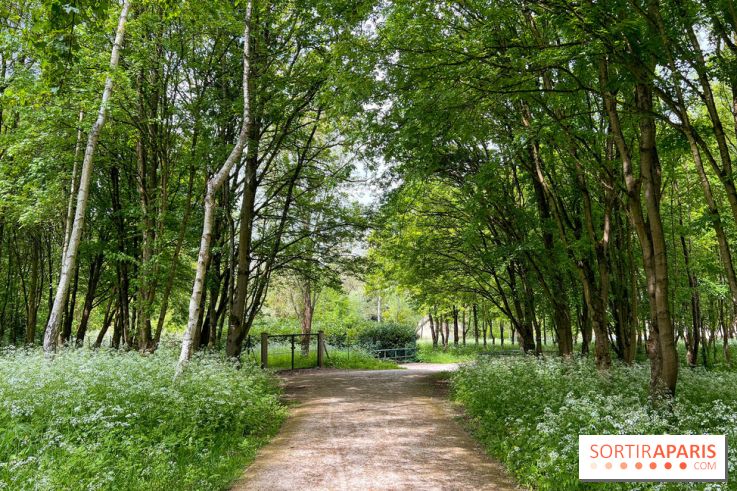 Balade - rando de Jouy-en-Josas jusqu'à l'Aqueduc de Buc