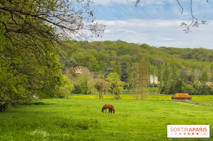 Balade - rando de Jouy-en-Josas jusqu'à l'Aqueduc de Buc