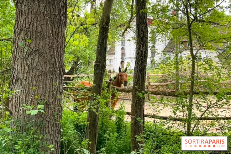 Balade - rando de Jouy-en-Josas jusqu'à l'Aqueduc de Buc
