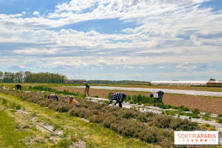Balade - rando de Jouy-en-Josas jusqu'à l'Aqueduc de Buc - image00003