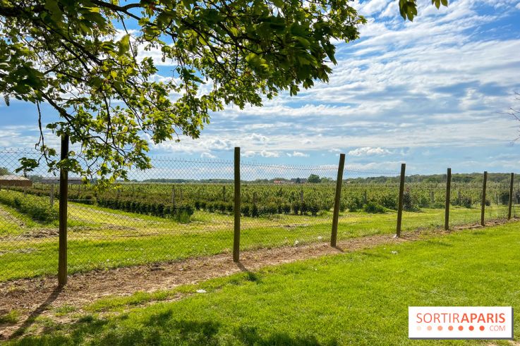 La Ferme de Viltain / La Cueillette de Viltain