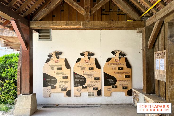 La Ferme de Viltain / La Cueillette de Viltain - image00008