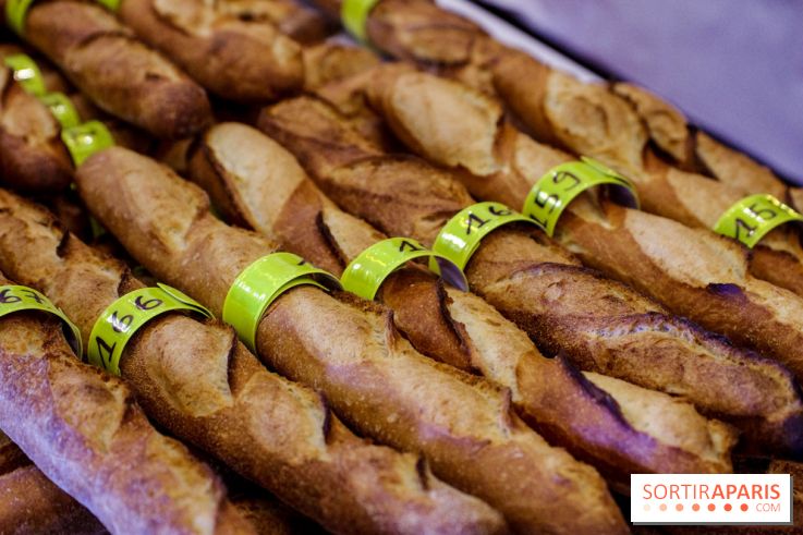 Concours de la meilleure baguette de Paris 2023 - Visuel baguette pain