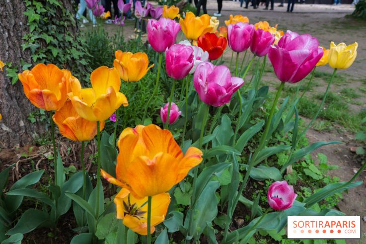 Wat Thammapatip Inrernational : la pagode bouddhiste et sa street food thaï, à Moissy-Cramayel - 50F5D52D D5E6 4A7B 9504 9907D05269BF