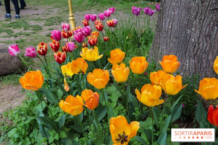 Wat Thammapatip Inrernational : la pagode bouddhiste et sa street food thaï, à Moissy-Cramayel - 99FD4B48 6186 4387 98E1 8653B6C21110