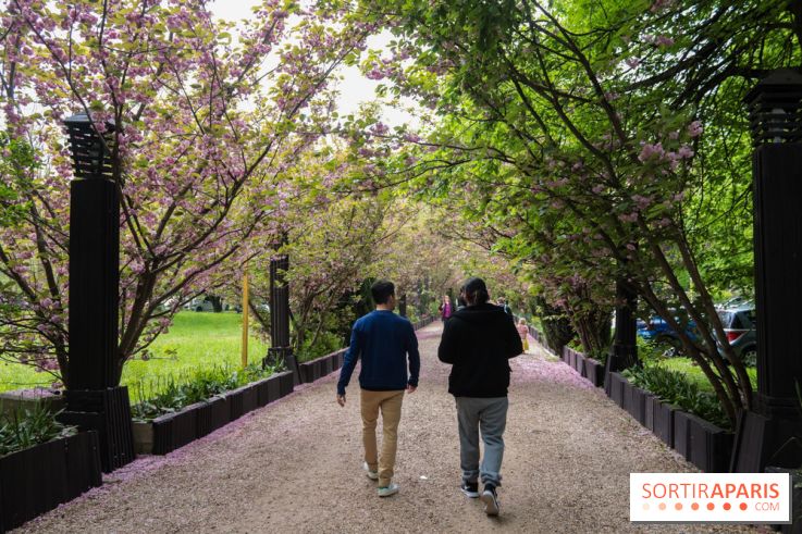 Wat Thammapatip Inrernational : la pagode bouddhiste et sa street food thaï, à Moissy-Cramayel - 95914580 96CD 4D0F 8382 82E2A9B28465