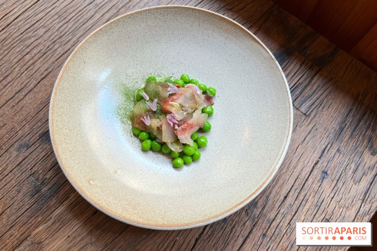 Géosmine - Maquereaux petits pois