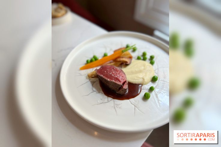 Akabeko - Bœuf charolais