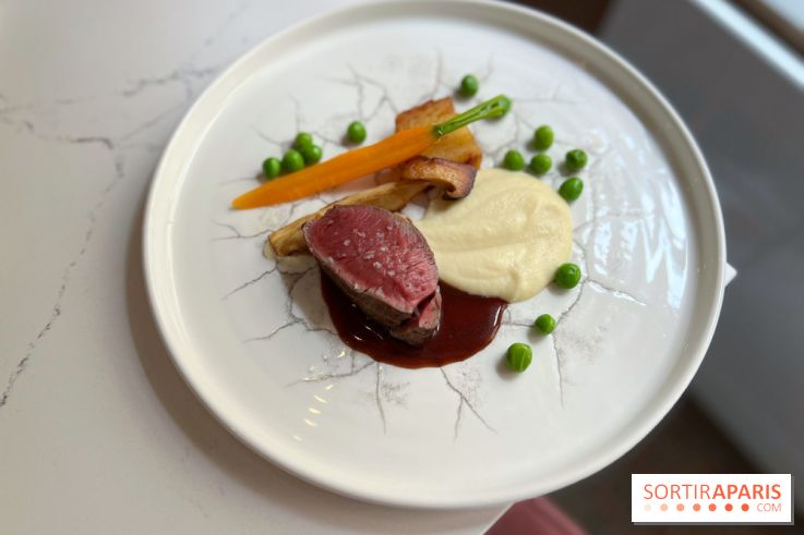 Akabeko - Bœuf charolais