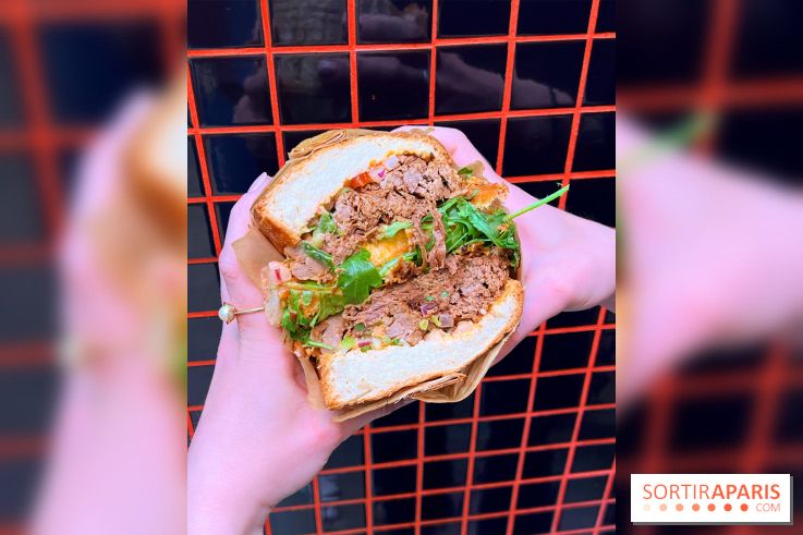 Alfi - Sandwich effiloché bœuf