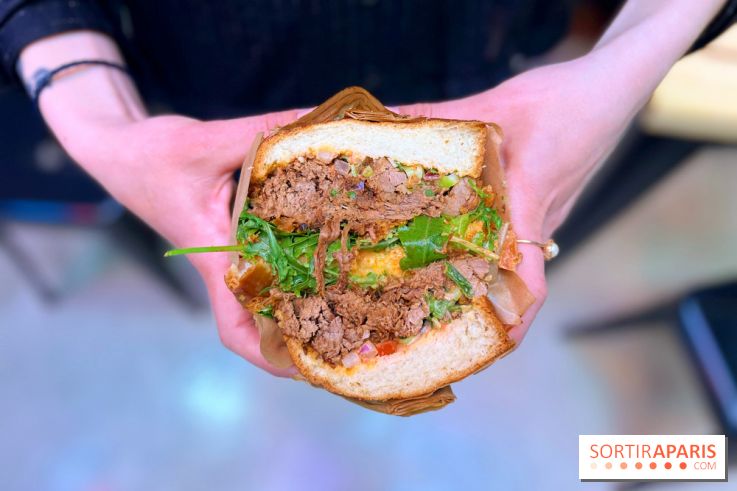 Alfi - Sandwich effiloché bœuf