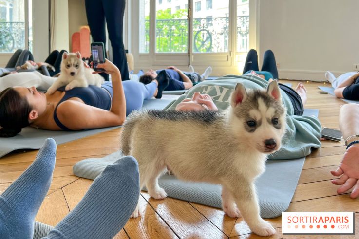 Puppy Yoga