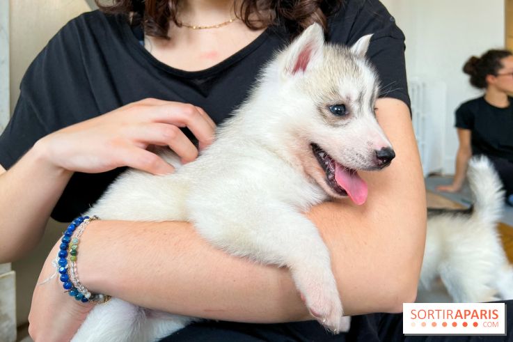 Puppy Yoga - image00010