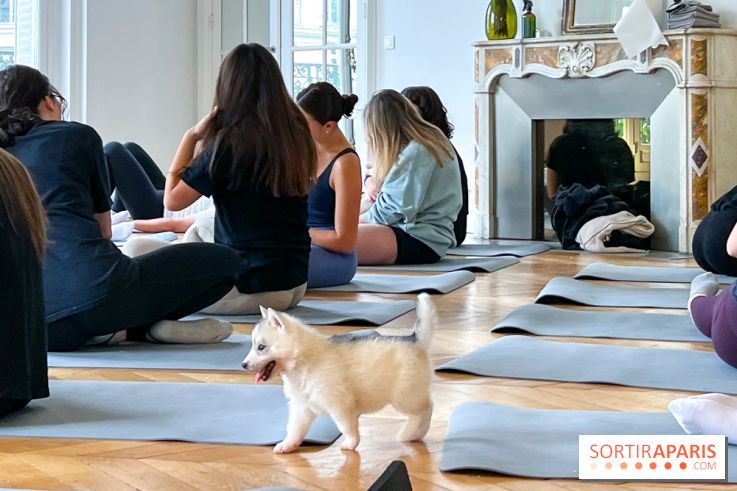 Puppy Yoga