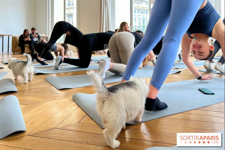 Puppy Yoga