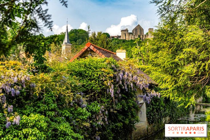 Le Château de la Madeleine à Chevreuse  -  A7C3910
