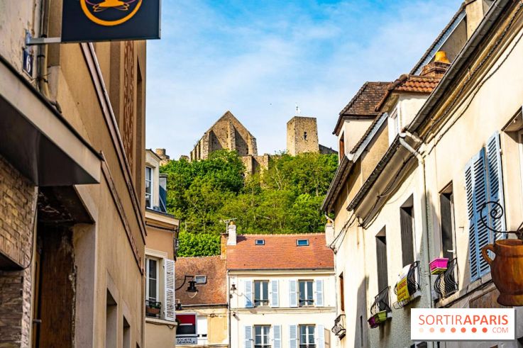 Le Château de la Madeleine à Chevreuse  -  A7C3914