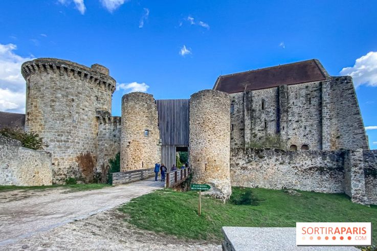 Le Château de la Madeleine à Chevreuse  - IMG 8924