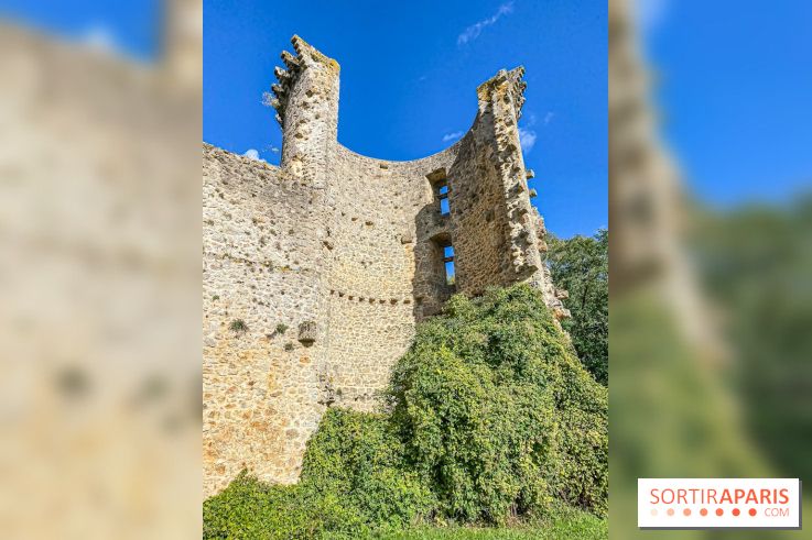 Le Château de la Madeleine à Chevreuse  - IMG 8925