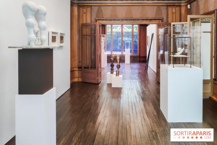 Exposition ASensitiv de Warren à l'Institut Giacometti - nos photos - IMG 20230515 114017