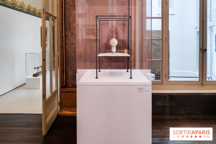 Exposition ASensitiv de Warren à l'Institut Giacometti - nos photos - IMG 20230515 114029