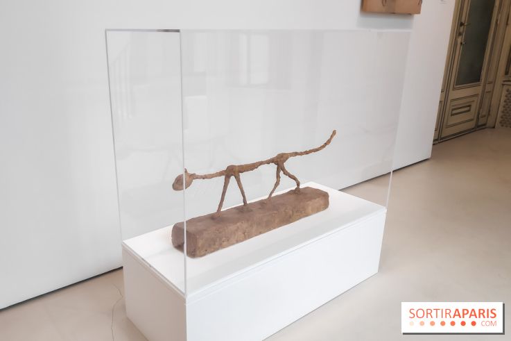 Exposition ASensitiv de Warren à l'Institut Giacometti - nos photos - IMG 20230515 114130