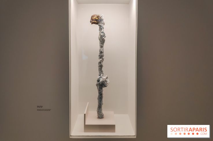 Exposition ASensitiv de Warren à l'Institut Giacometti - nos photos - IMG 20230515 114303 1