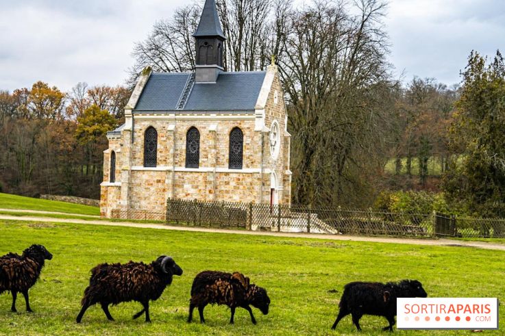 Domaine National de Port-Royal des Champs dans les Yvelines -  A7C3207