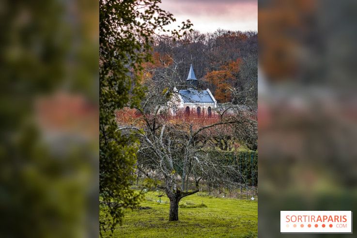 Domaine National de Port-Royal des Champs dans les Yvelines
