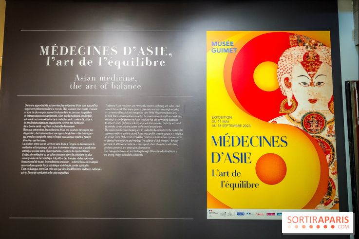 Médecines d'Asie, l'art de l'équilibre : l'exposition bien-être étonnante du musée Guimet - photos