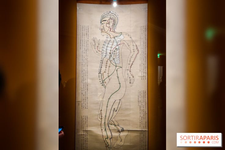 Médecines d'Asie, l'art de l'équilibre : l'exposition bien-être étonnante du musée Guimet - photos - IMG20230516103045