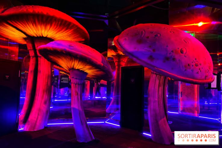 Le labyrinthe de Tim Burton