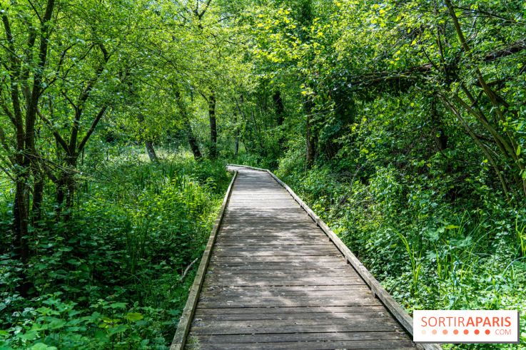 Sentier découverte de Maincourt - Vallée de Chevreuse -  A7C4054
